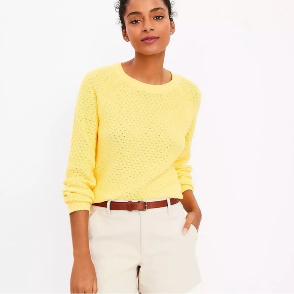 LOFT Textured Raglan Sweater - Picture 1 of 4